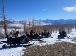 20260228_093555_crop